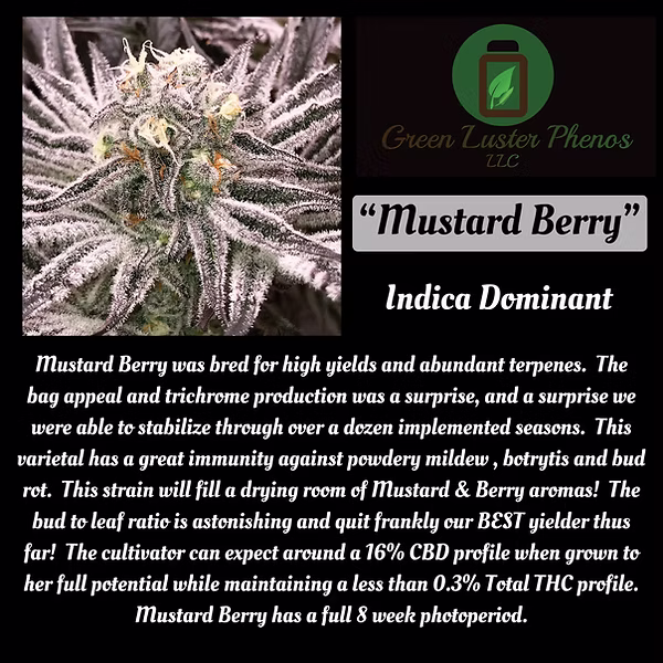 An image of Mustard Berry