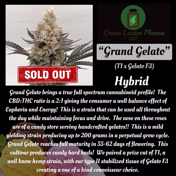 An image of Grand Gelato