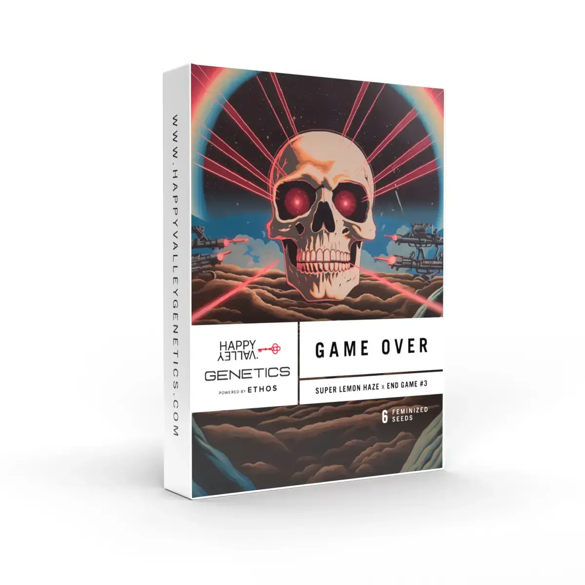 An image of Game Over