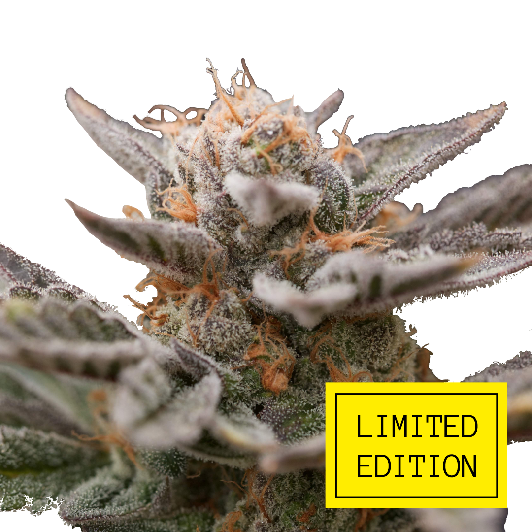 An image of Larry Cookies OG