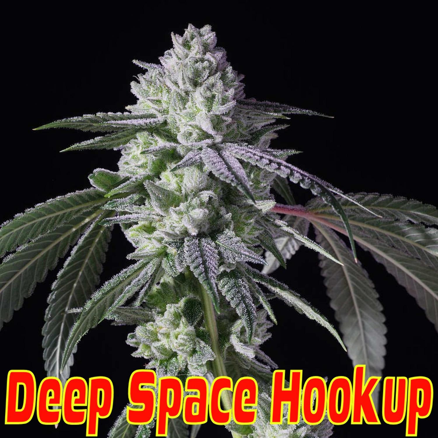 An image of Deep Space Hookup