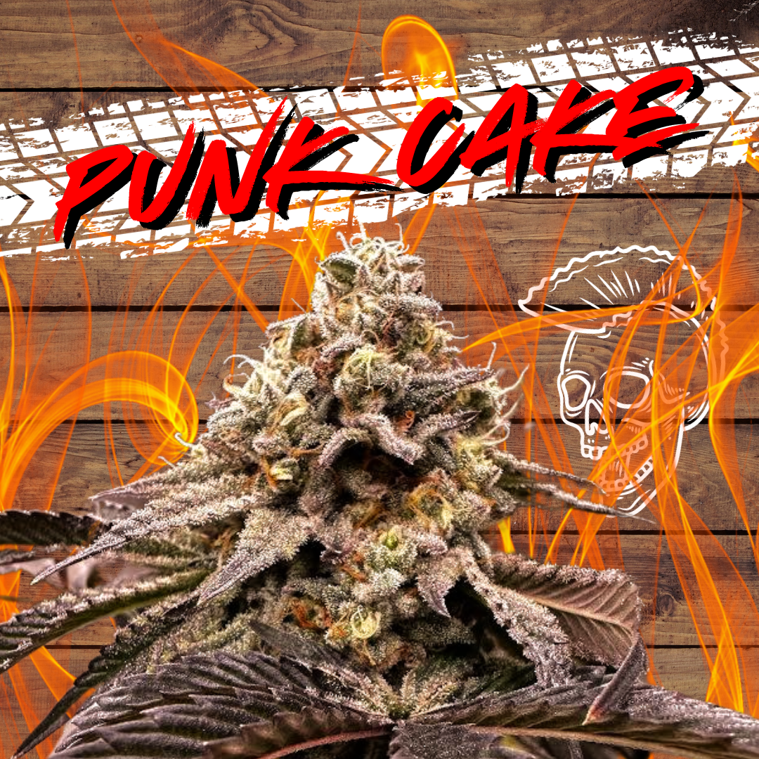 An image of Punk Cake