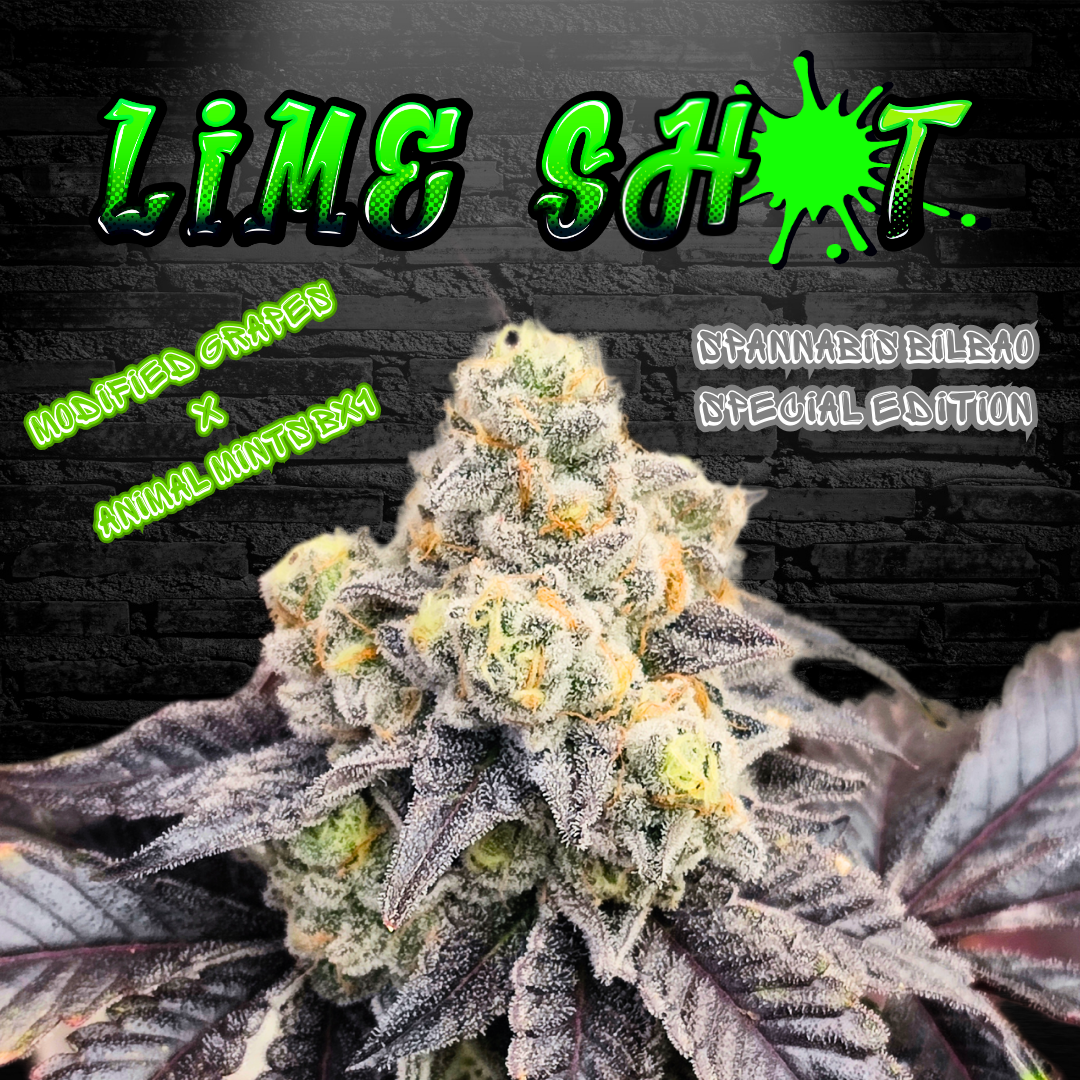 An image of Lime Shot