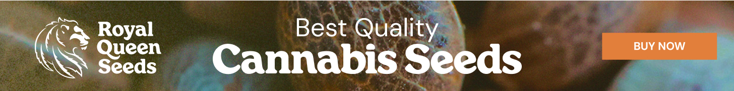rsq_standard_1