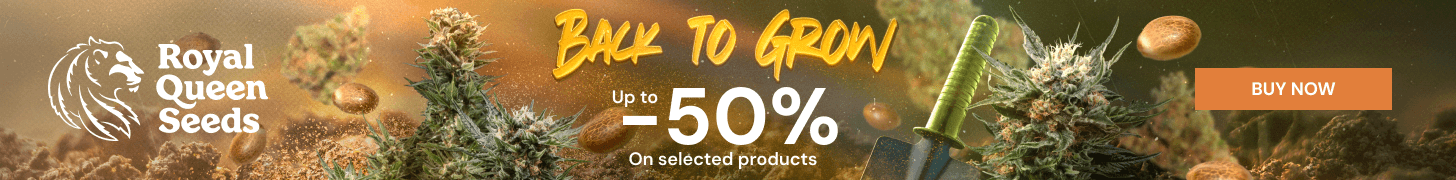 rqs-25percent