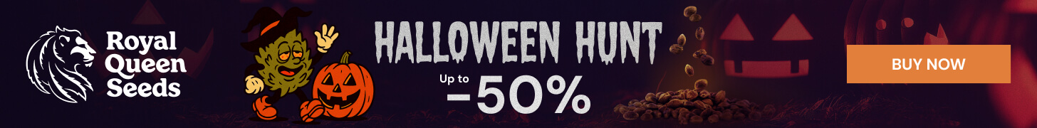 rqs_halloween