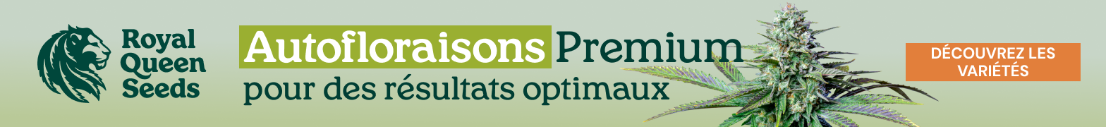 rqs_autoflower_fr