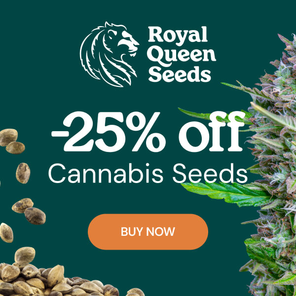 rqs-25percent