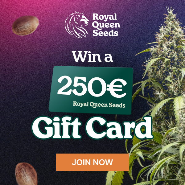 rqs-giveaway