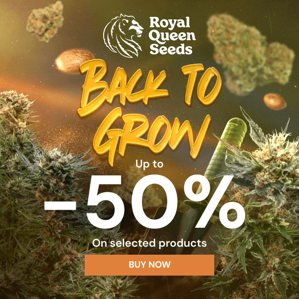 rqs-25percent