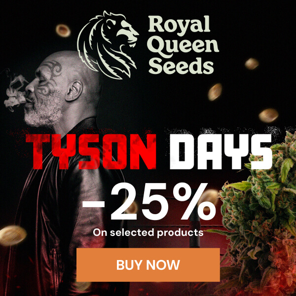 rqs-tyson-25