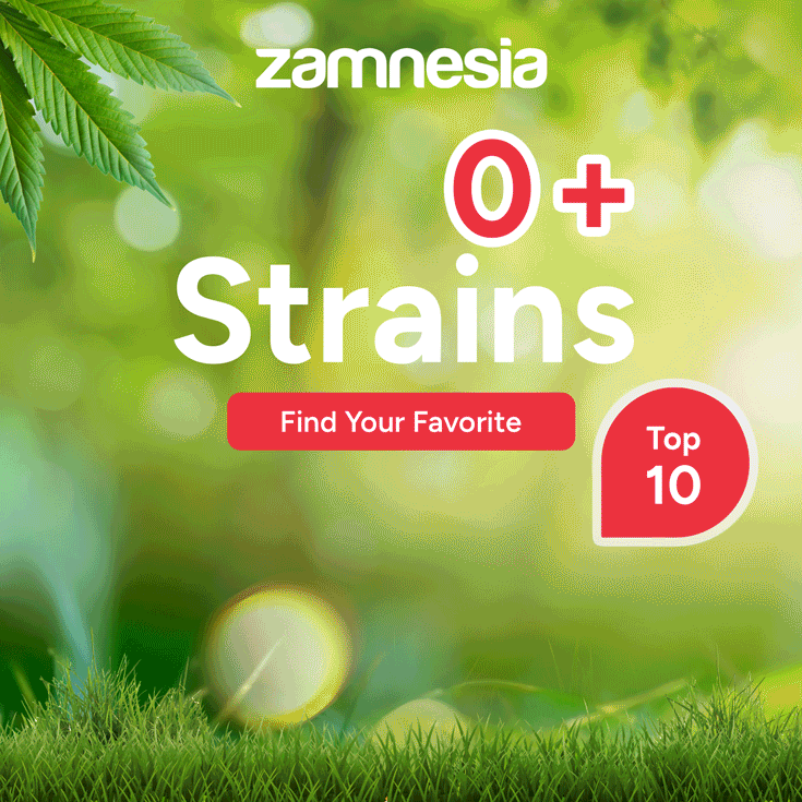 zamnesia_en