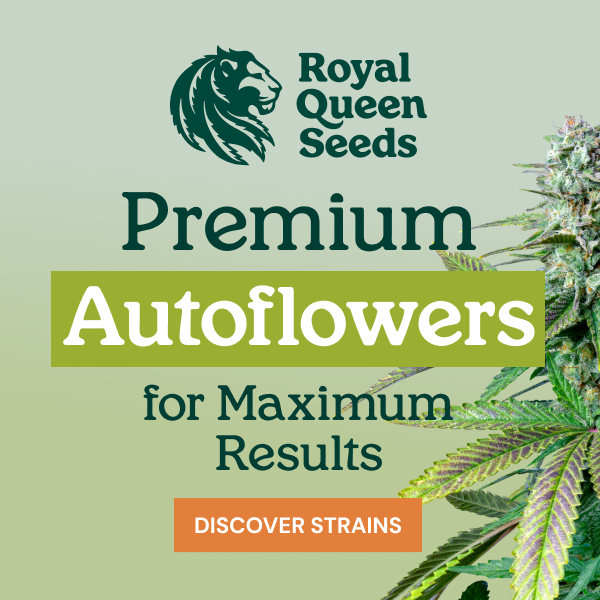 rqs_autoflower_en