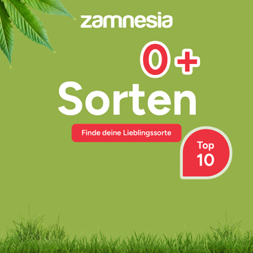 zamnesia_de