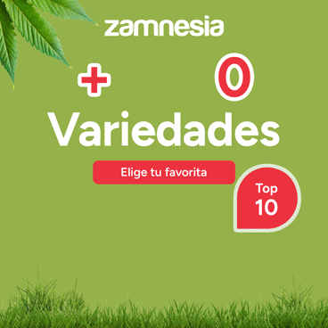 zamnesia_es