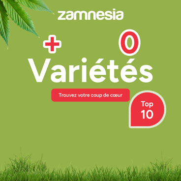 zamnesia_fr