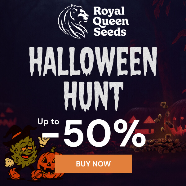 rqs_halloween