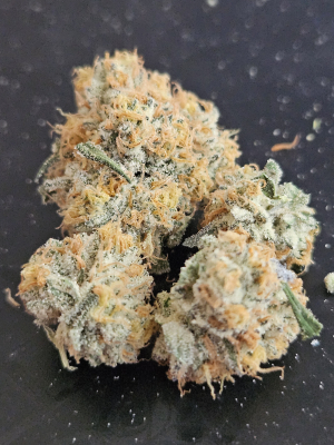 Oooze's picture by STB25