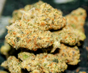 An image of Alien Mints