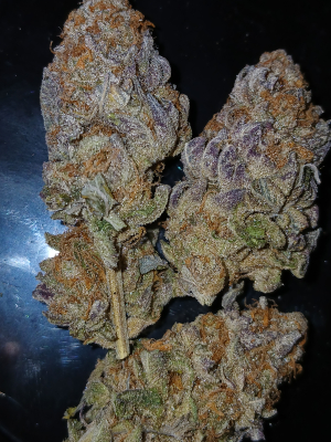 An image of Animal Cookies