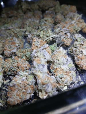 An image of Animal Cookies