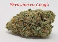 An image of Strawberry Cough