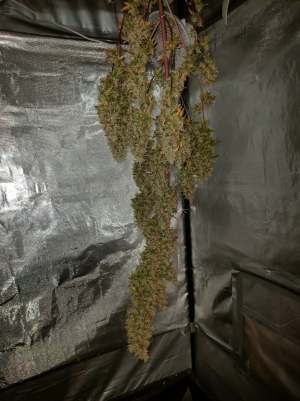 Image #28122506105265039