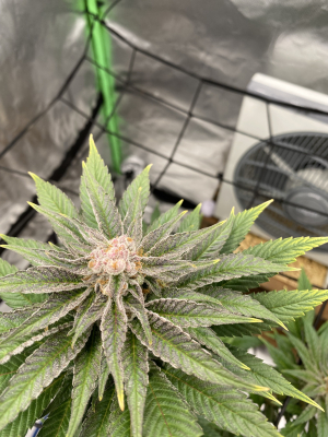 Image #07122568552398139