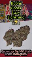 An image of Lazy Lightning