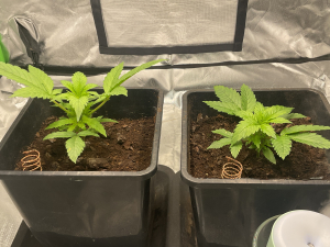 Image #18012658902148040