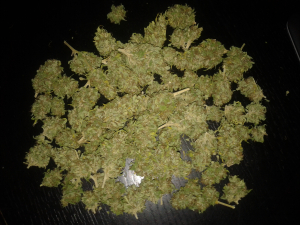 Image #10112532485735384