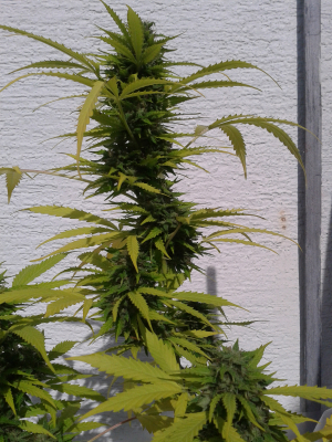 Image #10112587033231480