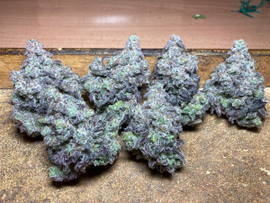 MAC 1's picture by Mr_Lemon