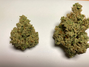 B.T.Y OG's picture by Mr_Lemon