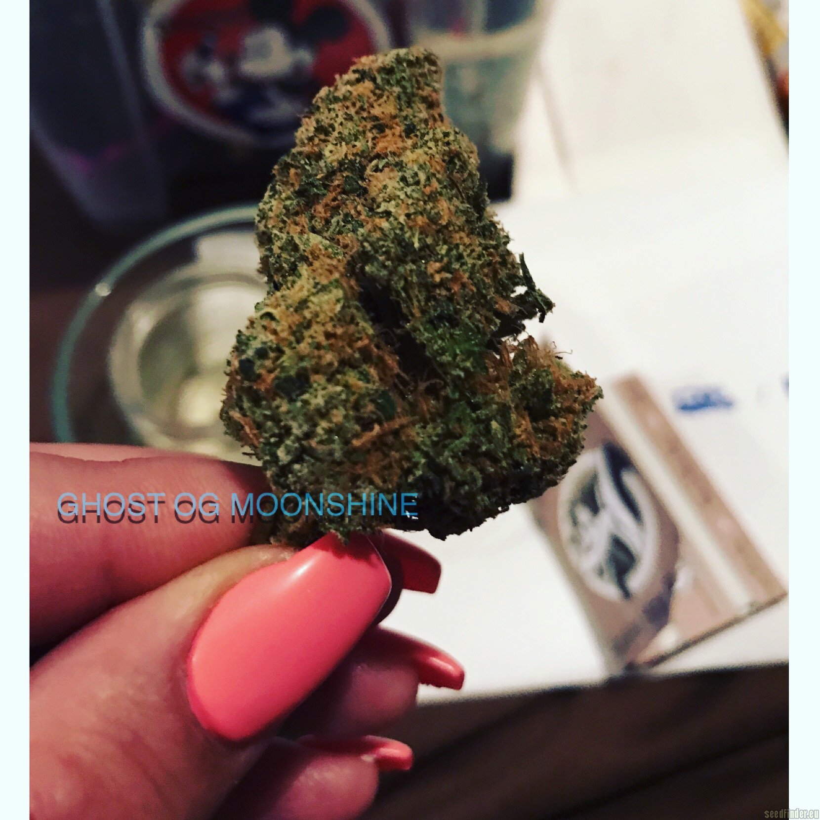Ghost Og Moonshine