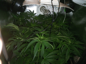 Image #27102549516725046