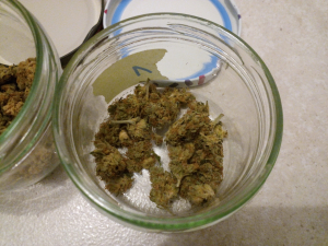 Image #29102543590563411