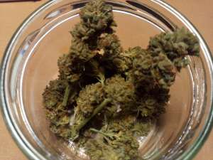 Image #29102586902729311