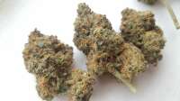 An image of Sticky Sherbert