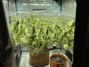 Image #28112540684694445