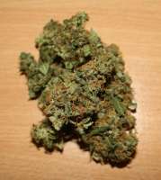 An image of Power Skunk