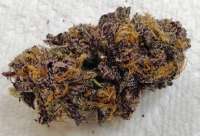 An image of Grand Daddy Purp