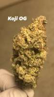 An image of Koji OG