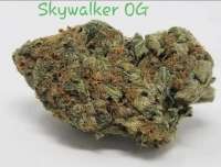 An image of Skywalker OG