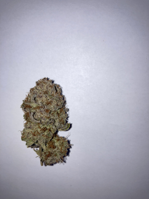 Image #16122519344329002