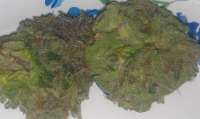 An image of Bubba Kush