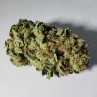 An image of Lemon Kush Headband