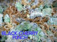 An image of BlackCherry Punch