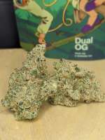 An image of Dual OG