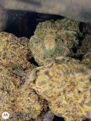 Slurrup's picture by FLIP420